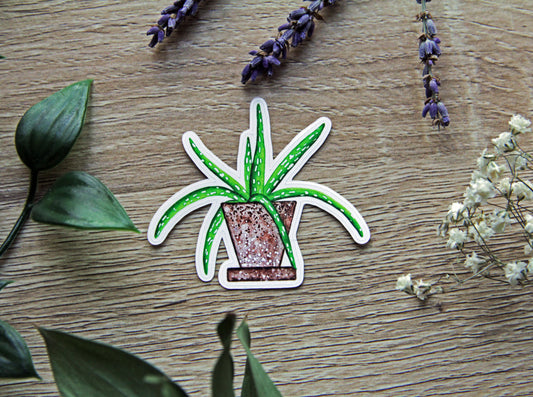 Spindly Aloe plant sticker