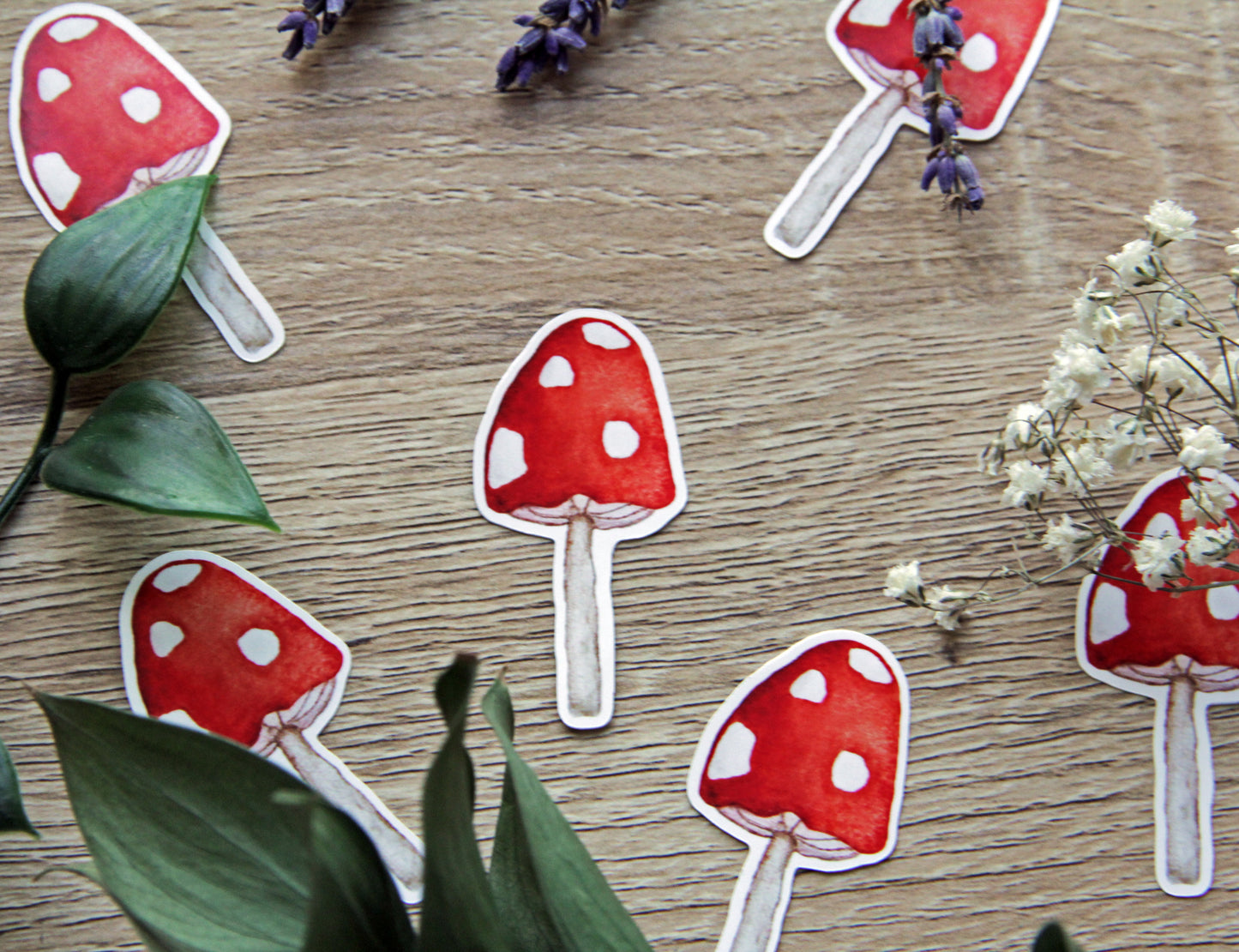 Red-Cap Mushroom plant sticker