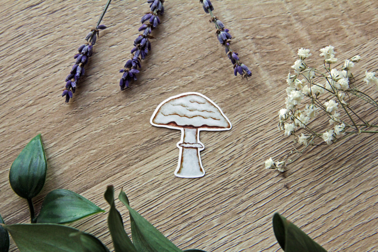 Umbrella Mushroom plant sticker