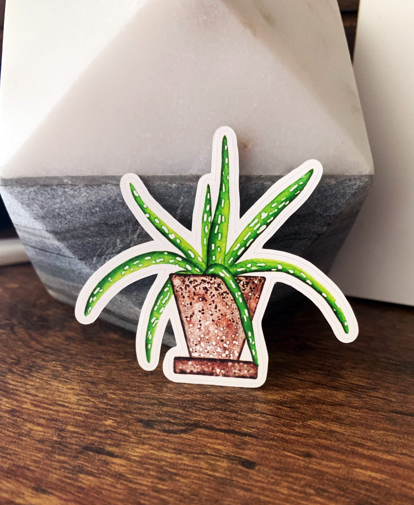 Spindly Aloe plant sticker