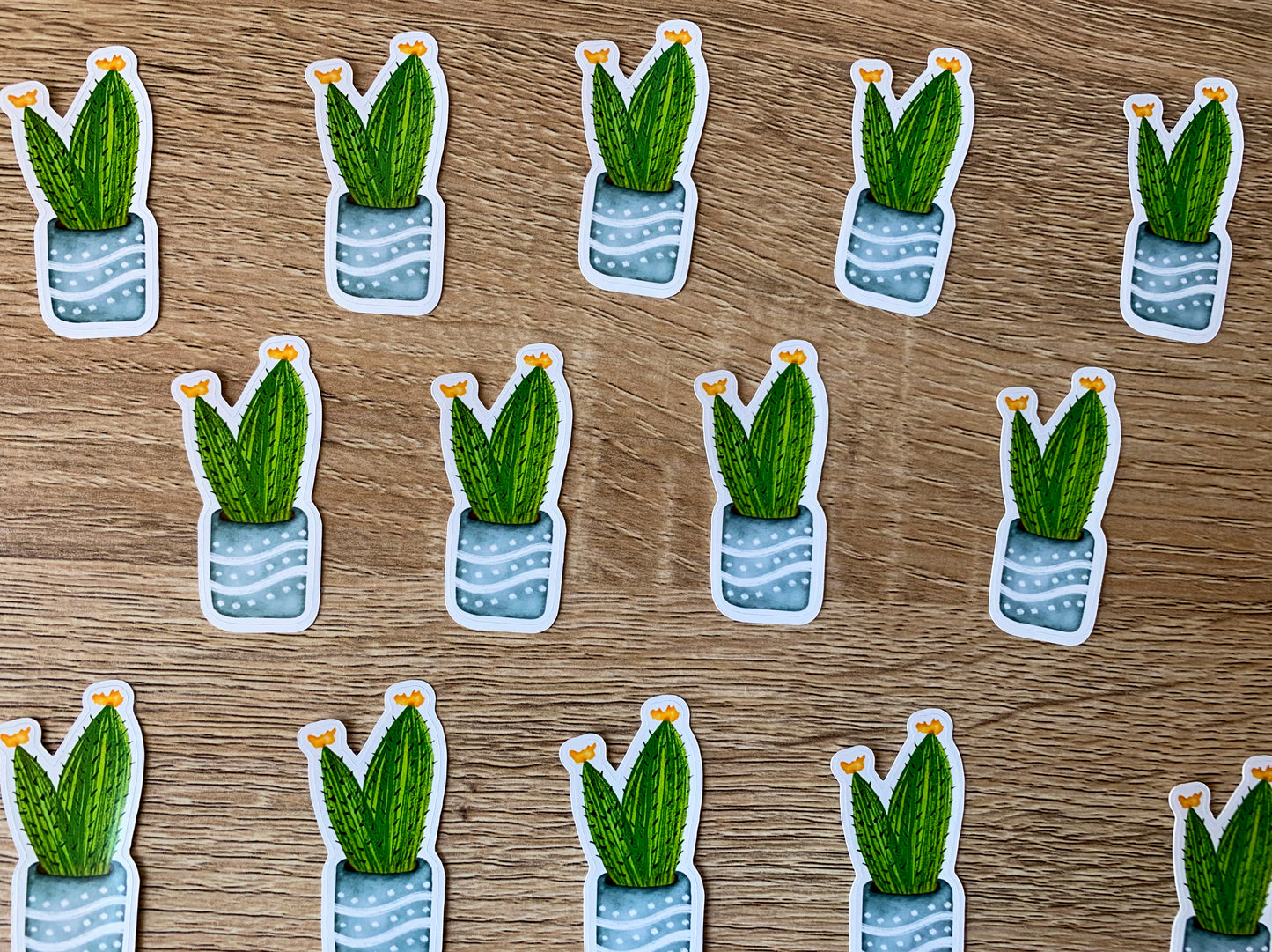 Flower Cactus plant sticker