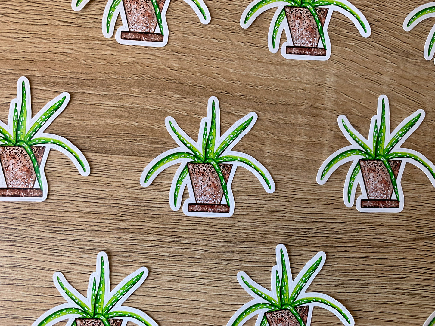 Spindly Aloe plant sticker