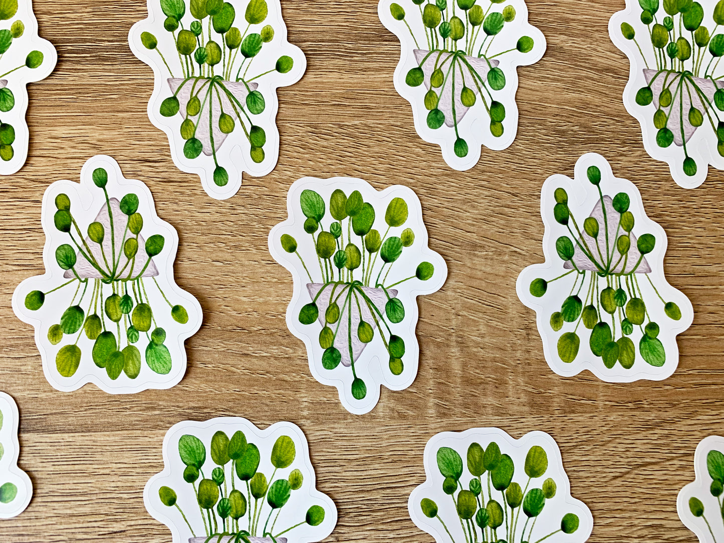 Pilea plant sticker