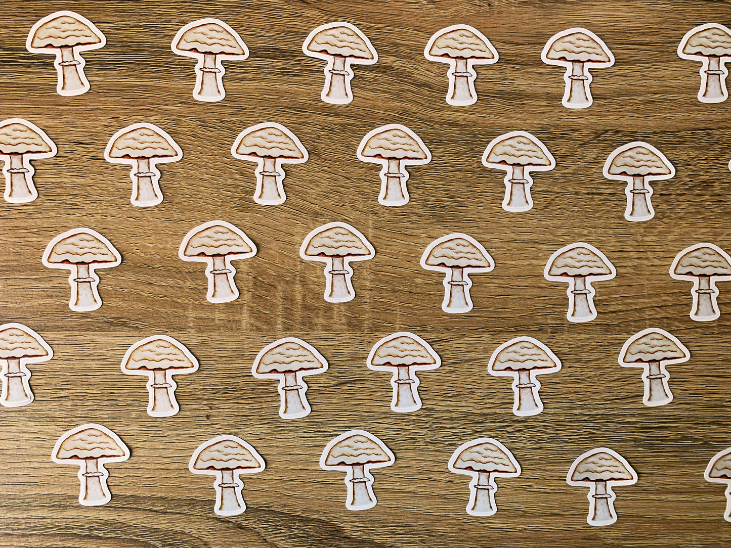 Umbrella Mushroom plant sticker