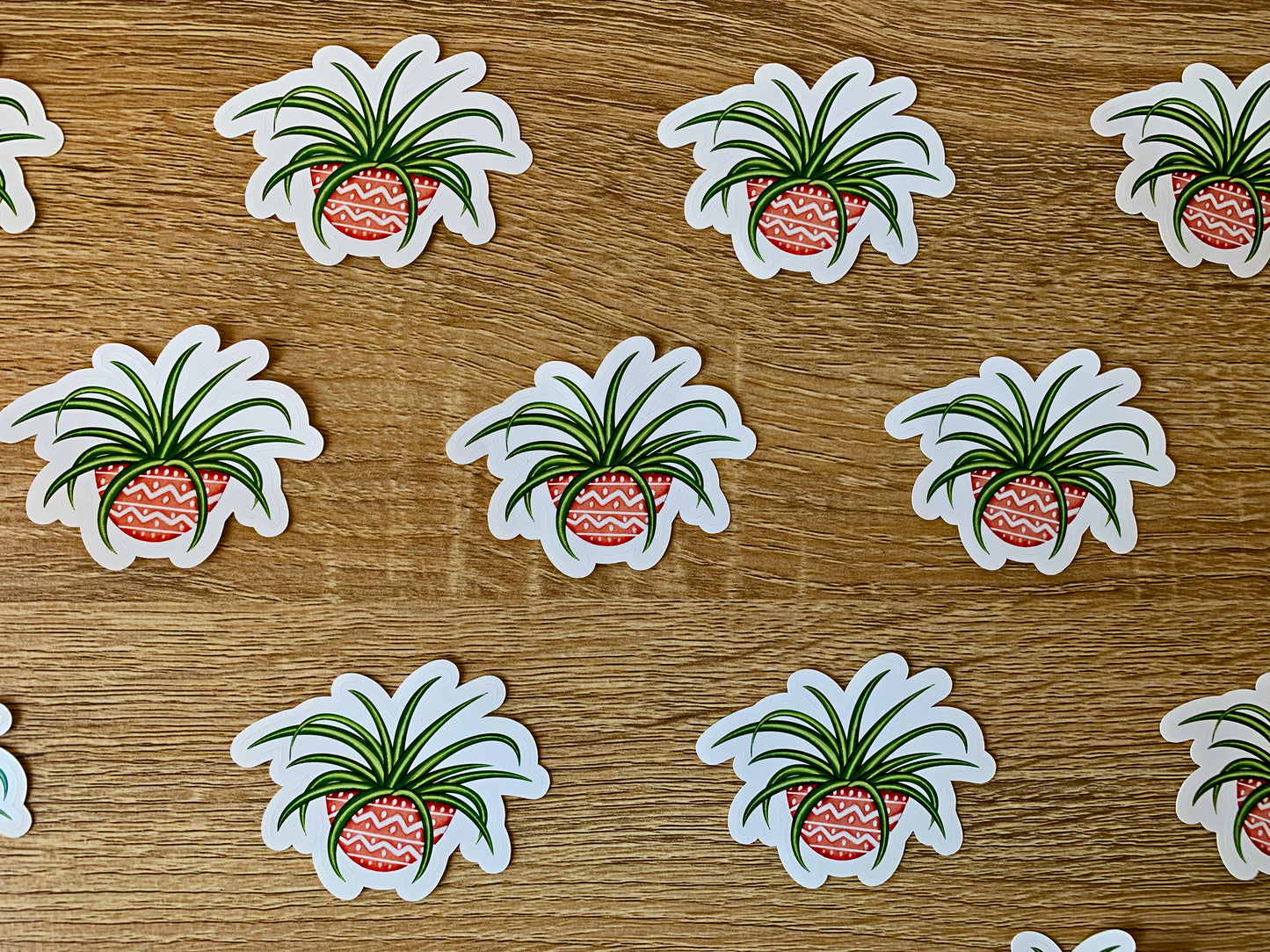 Spider Plant sticker