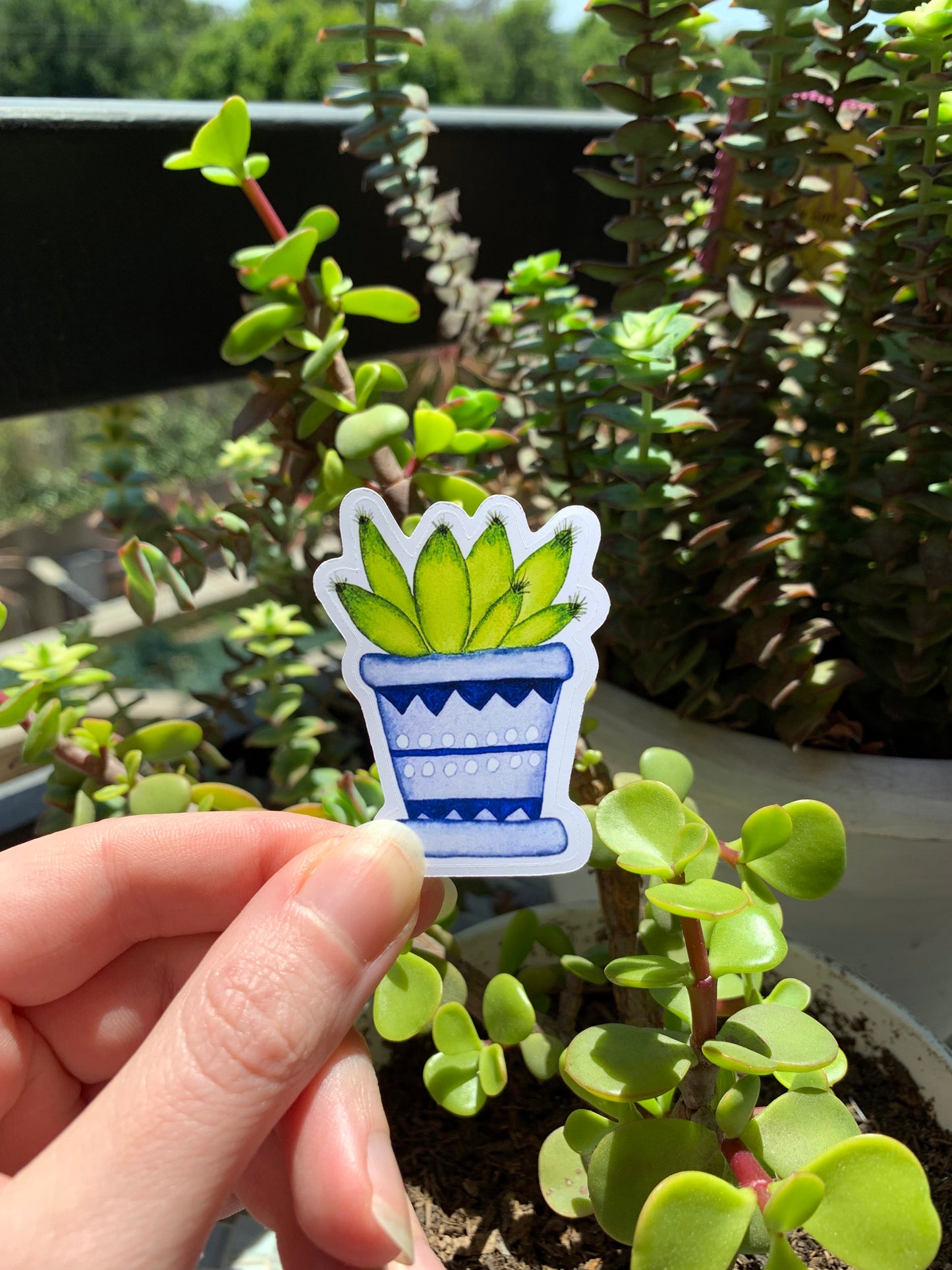 Finger Cactus plant sticker