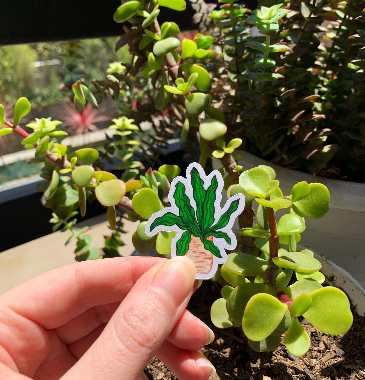 Wavy Leaf plant sticker