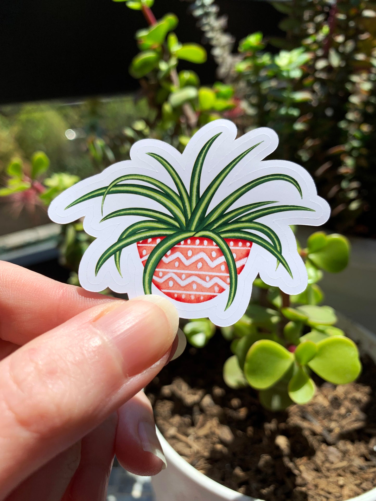 Spider Plant sticker