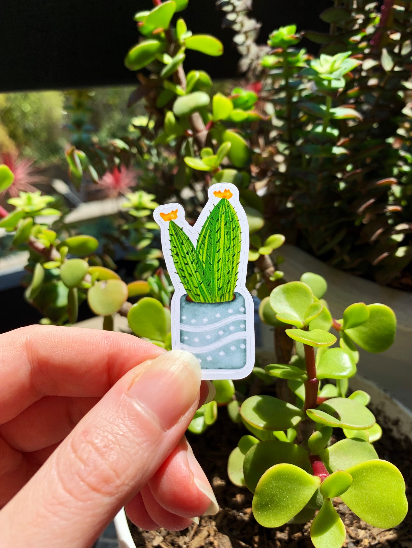 Flower Cactus plant sticker