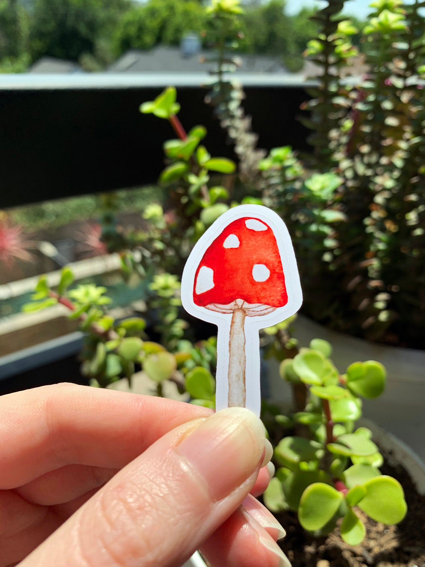 Red-Cap Mushroom plant sticker