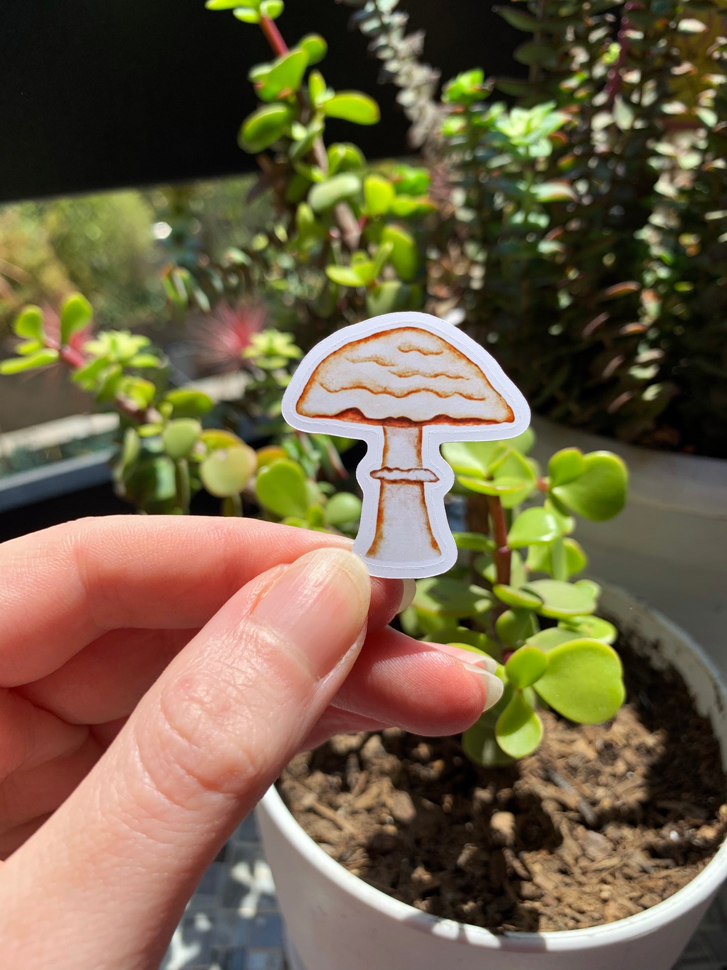 Umbrella Mushroom plant sticker