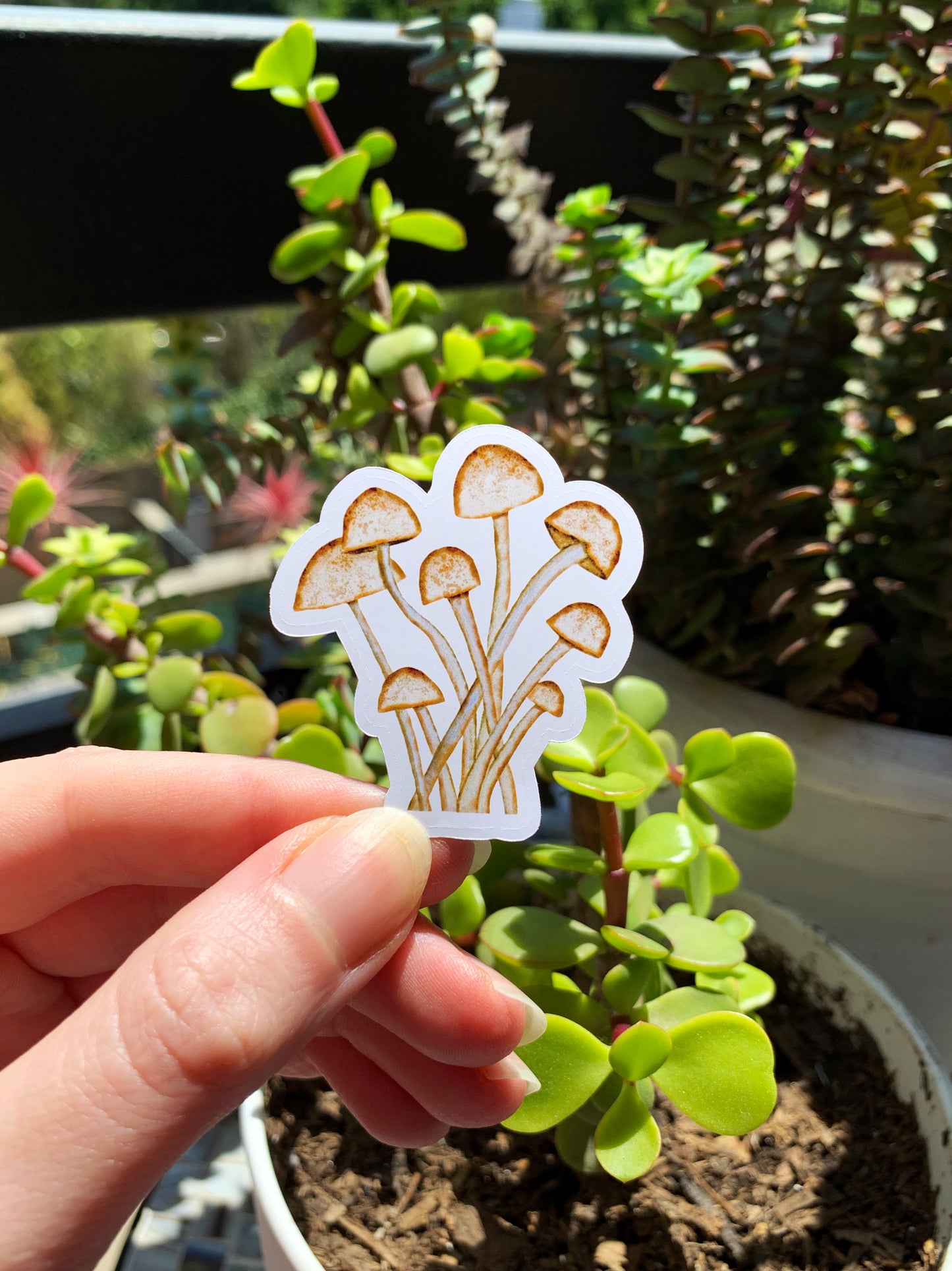 Mushroom Bunch plant sticker