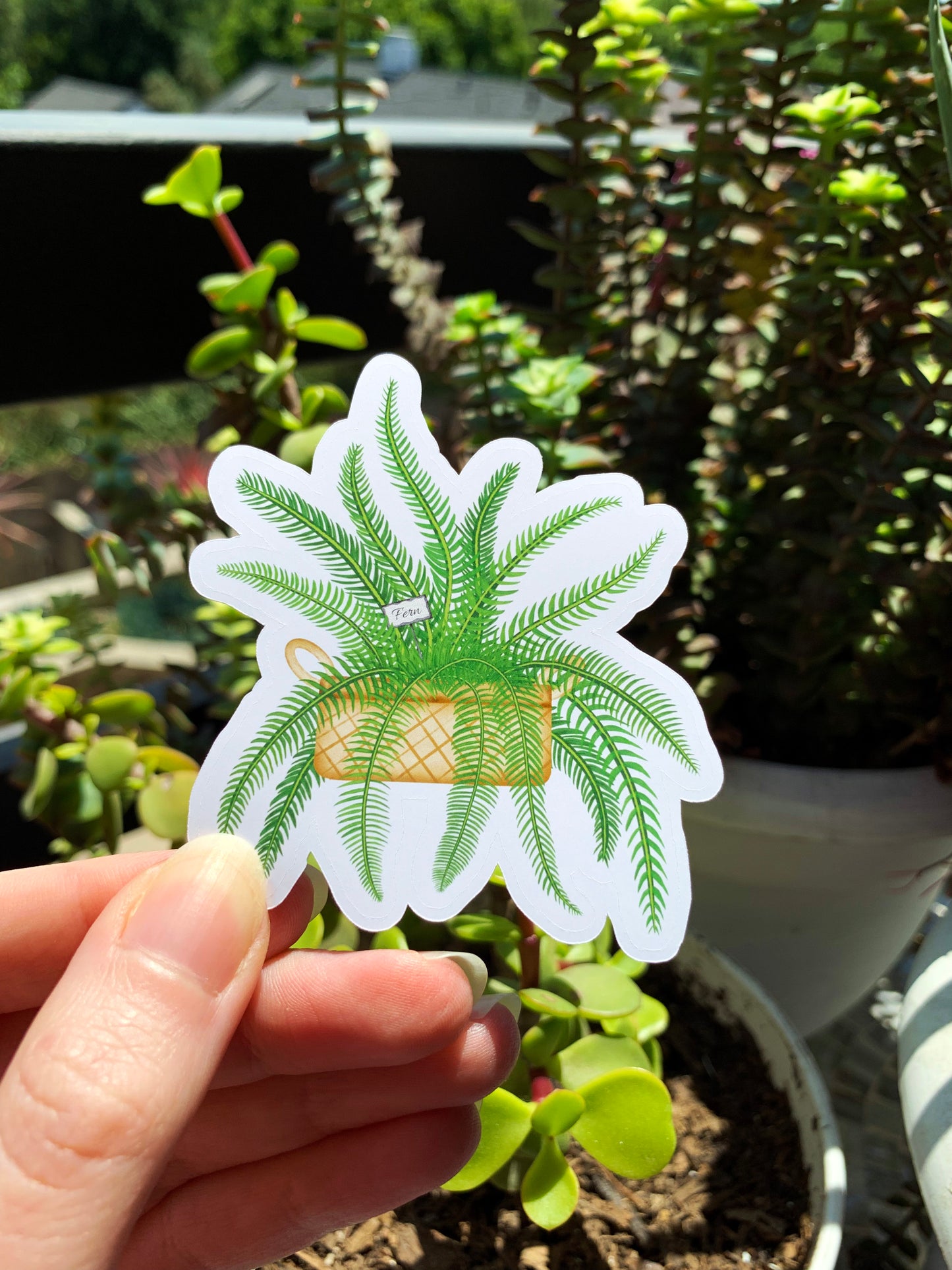 Fern Basket plant sticker