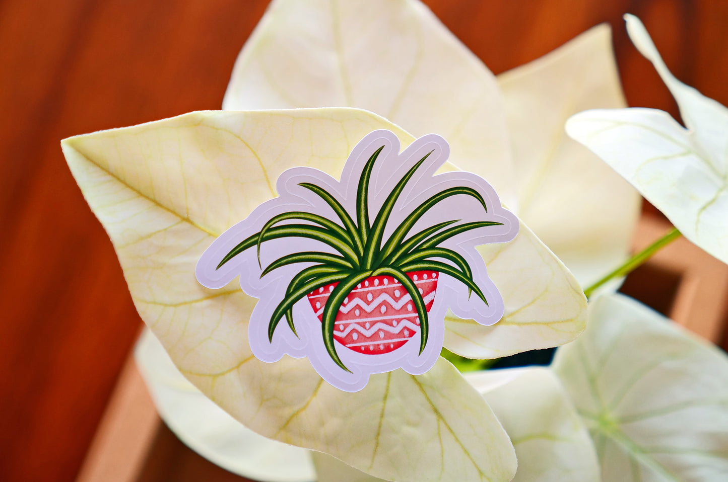 Spider Plant sticker