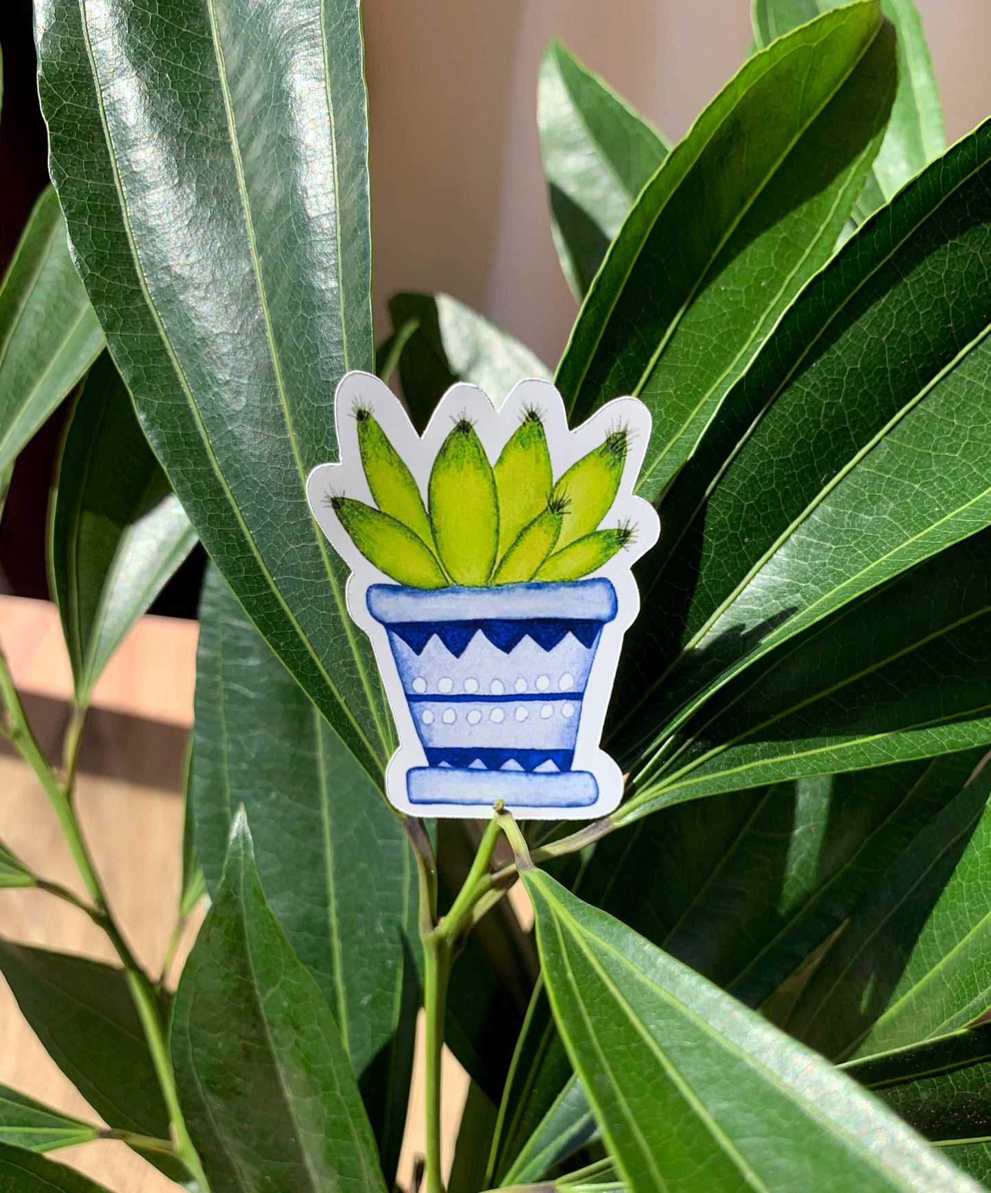 Finger Cactus plant sticker