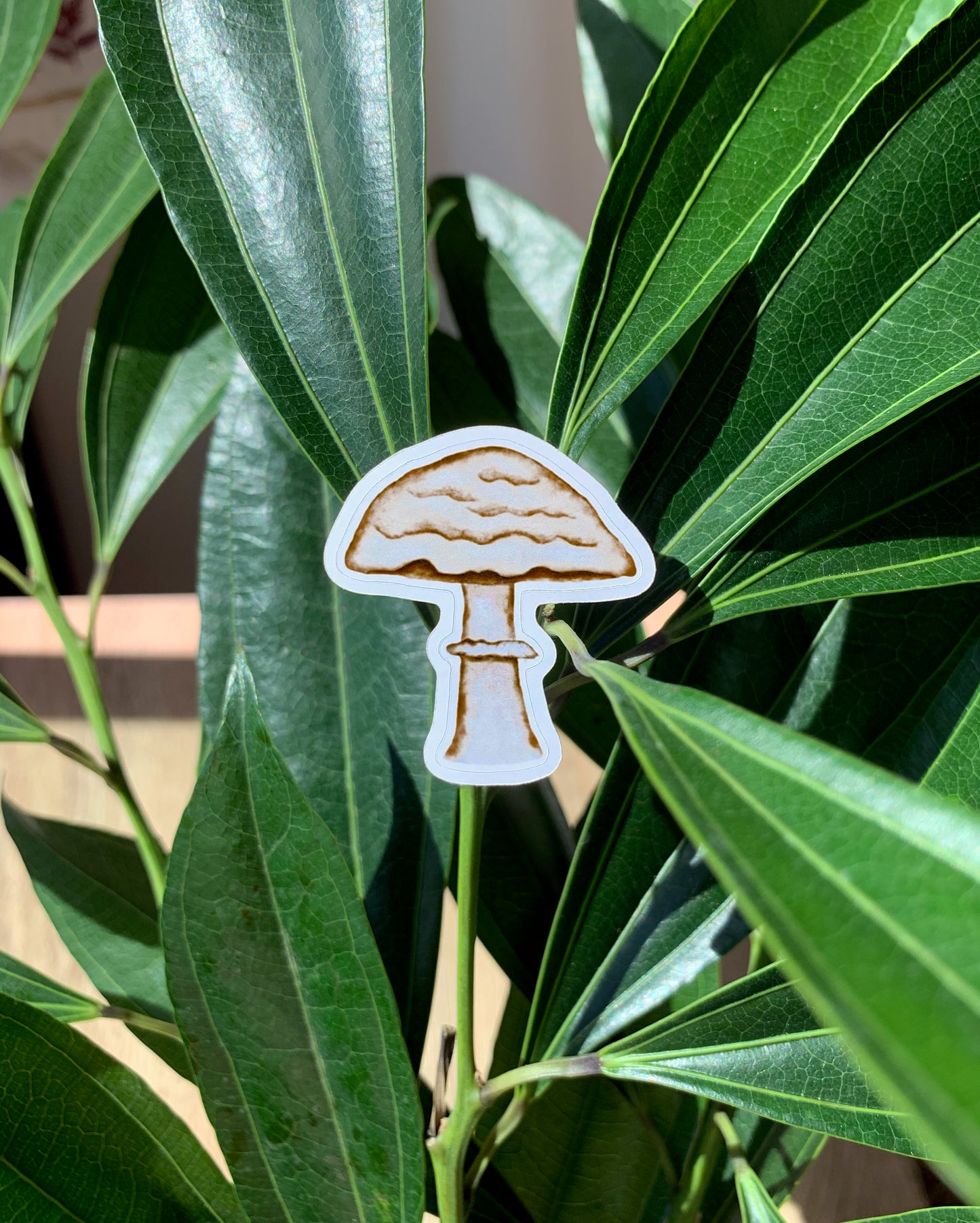 Umbrella Mushroom plant sticker