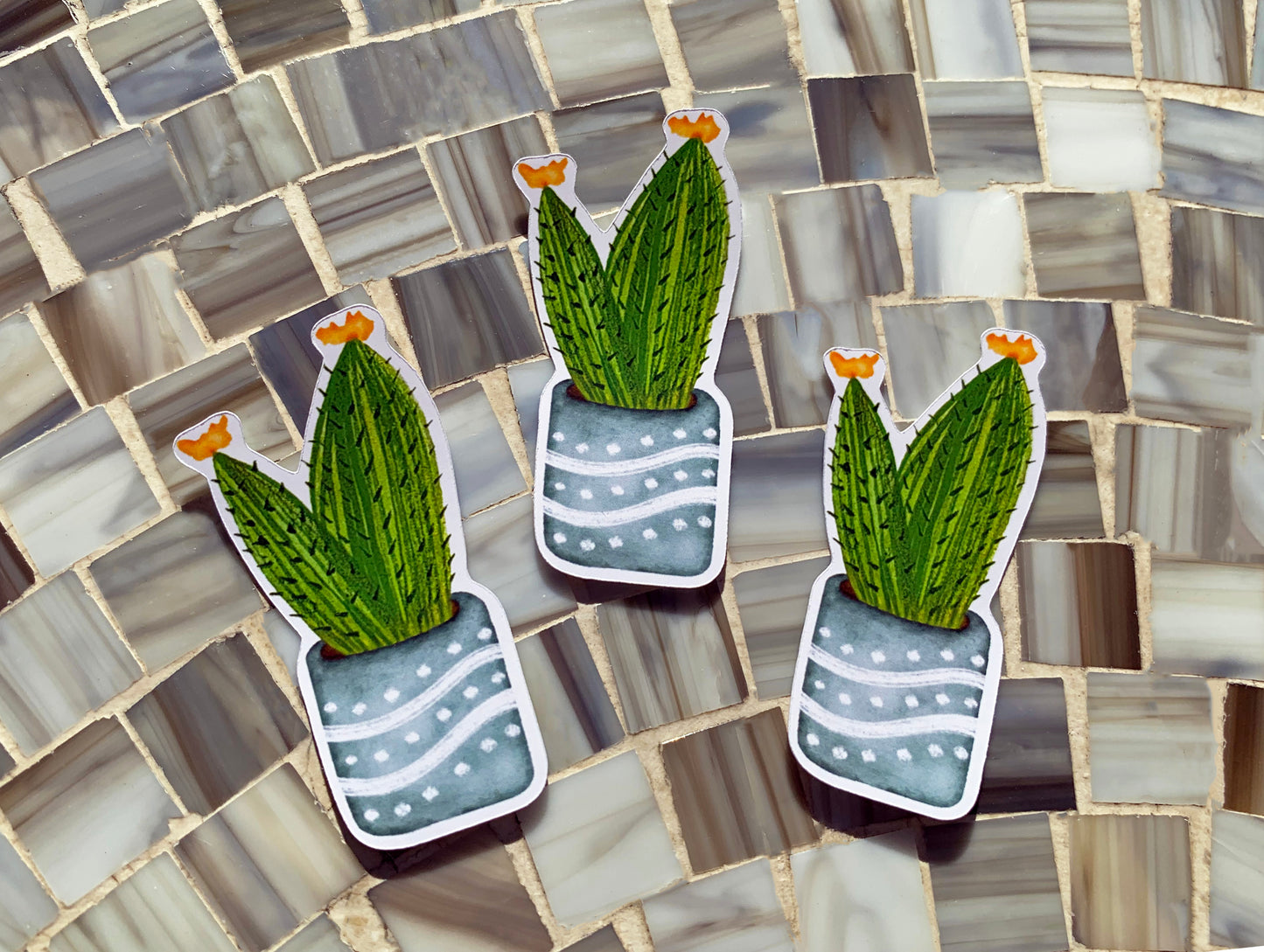 Flower Cactus plant sticker