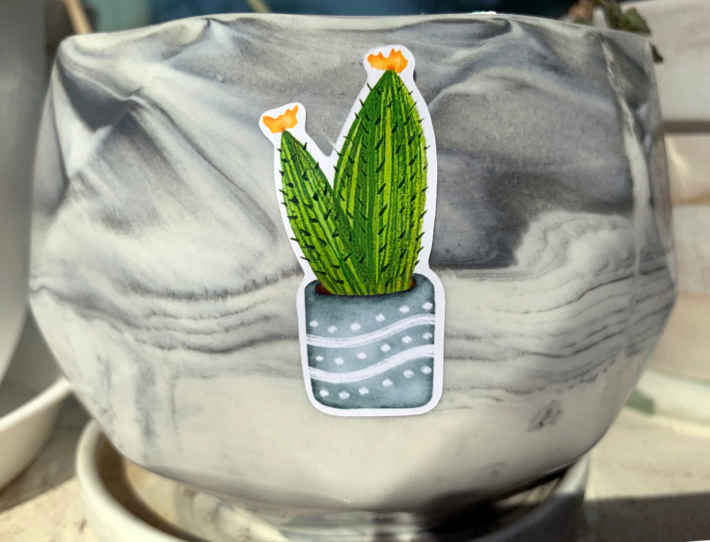 Flower Cactus plant sticker