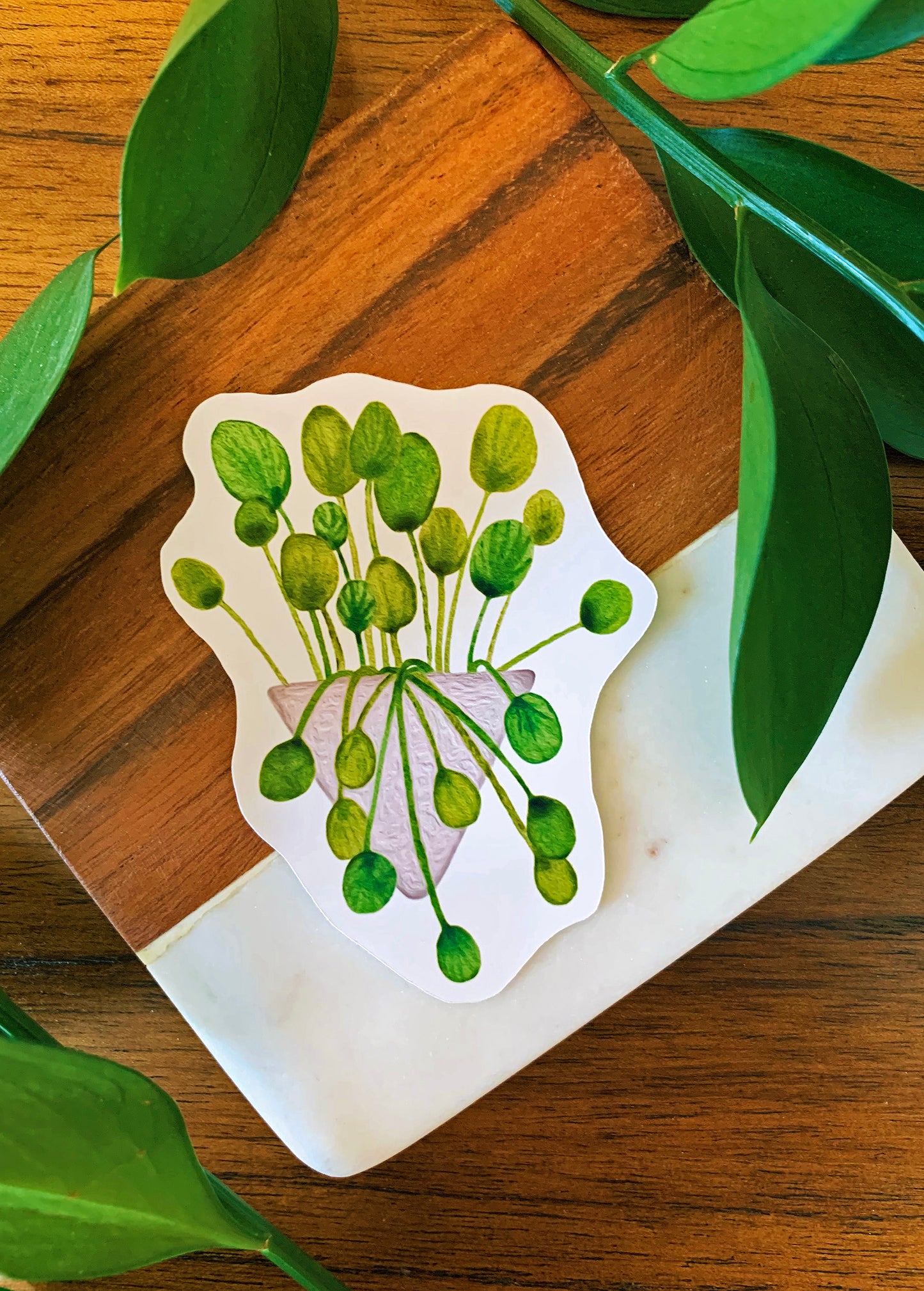 Pilea plant sticker