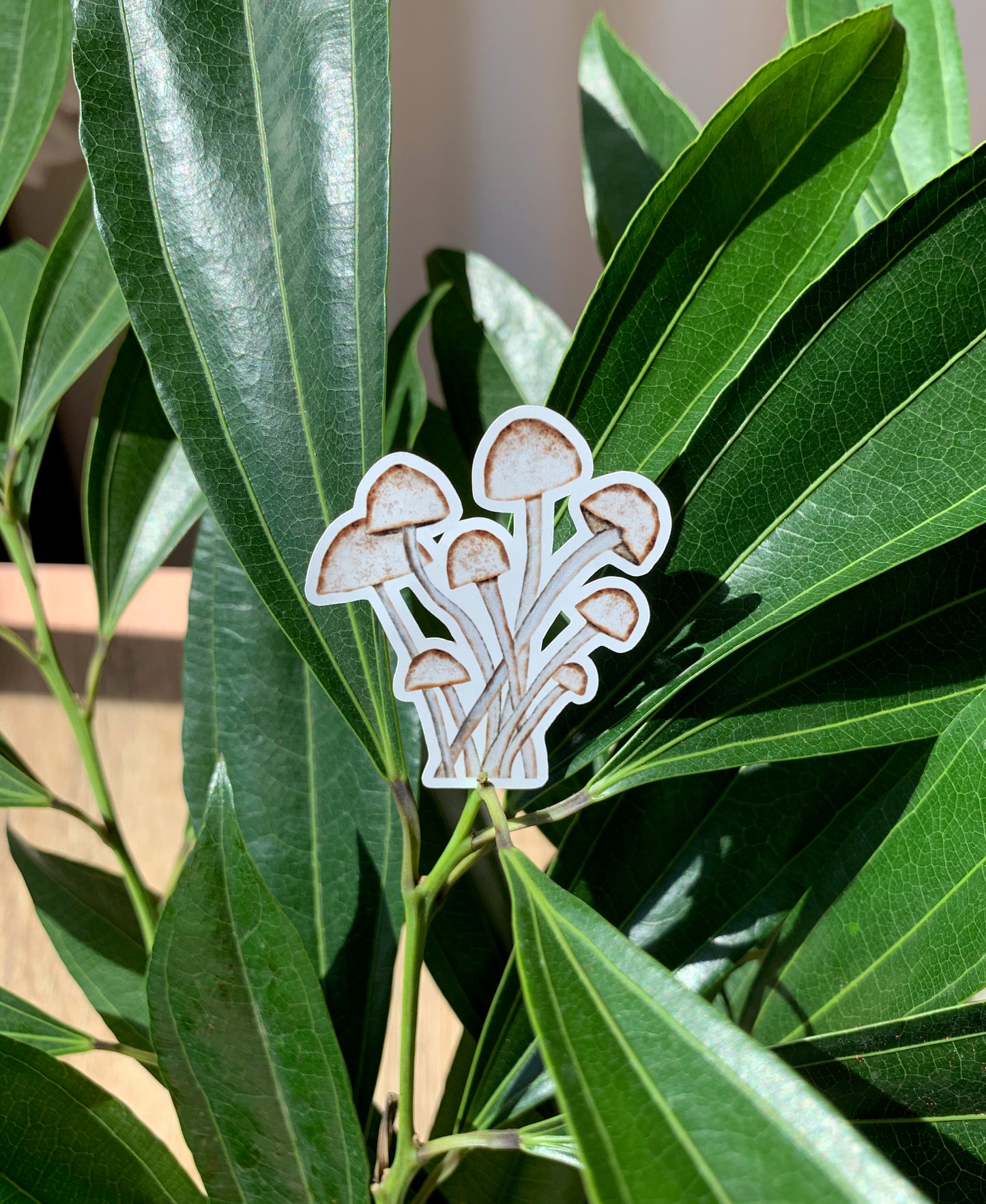 Mushroom Bunch plant sticker