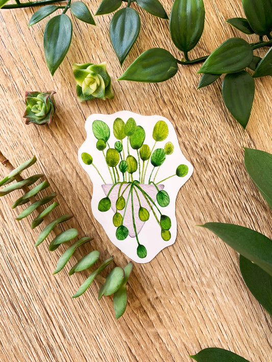 Pilea plant sticker