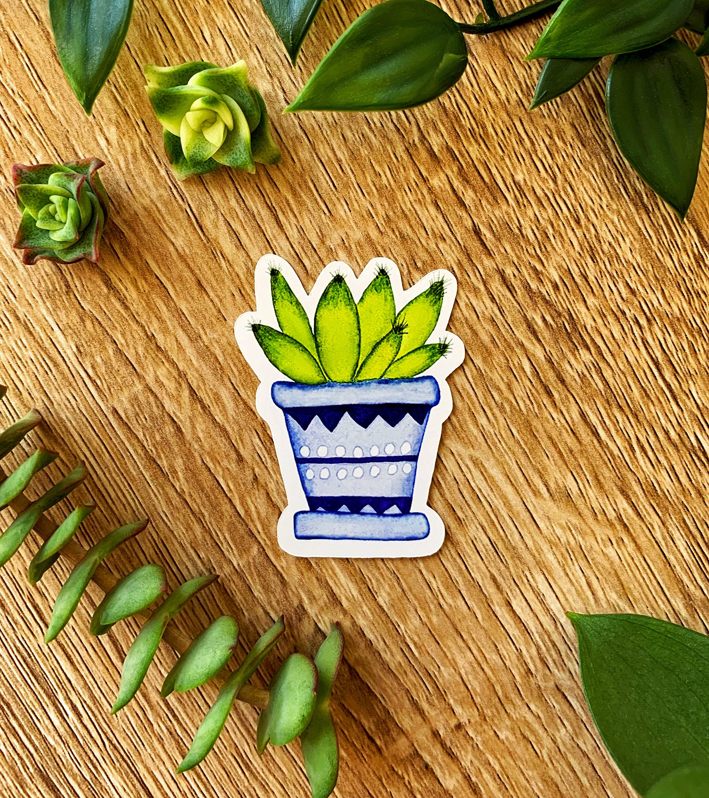 Sticker Pointy Finger Cactus plant sticker – Monk & Marple