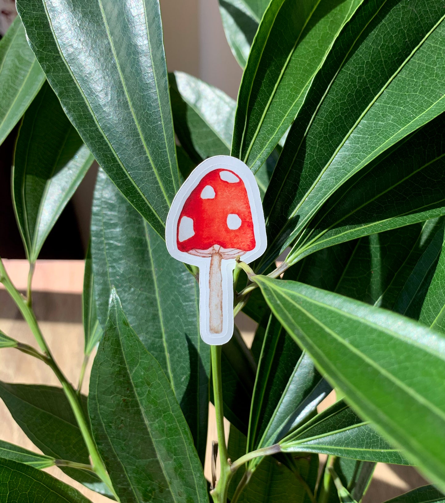 Red-Cap Mushroom plant sticker