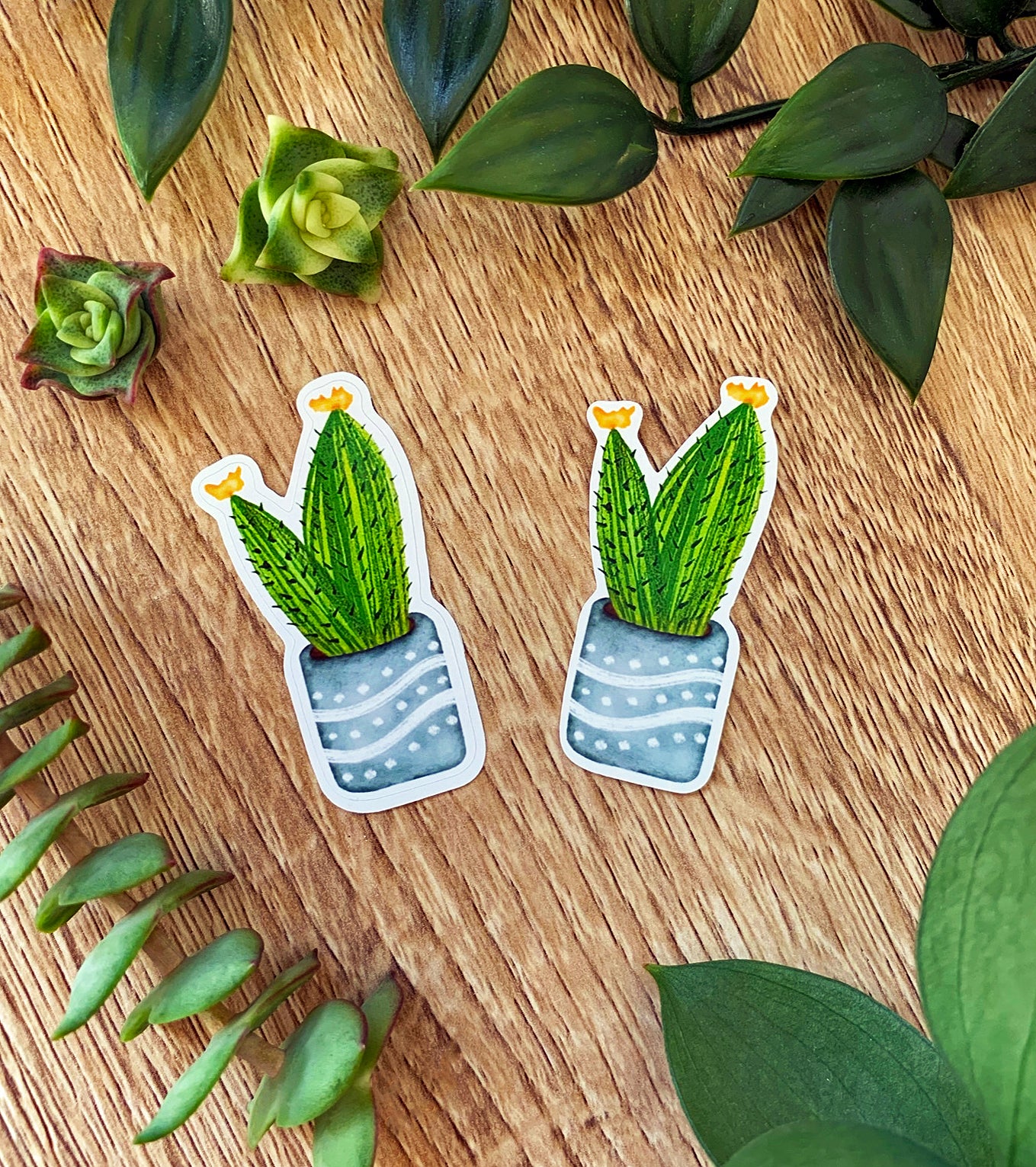 Flower Cactus plant sticker