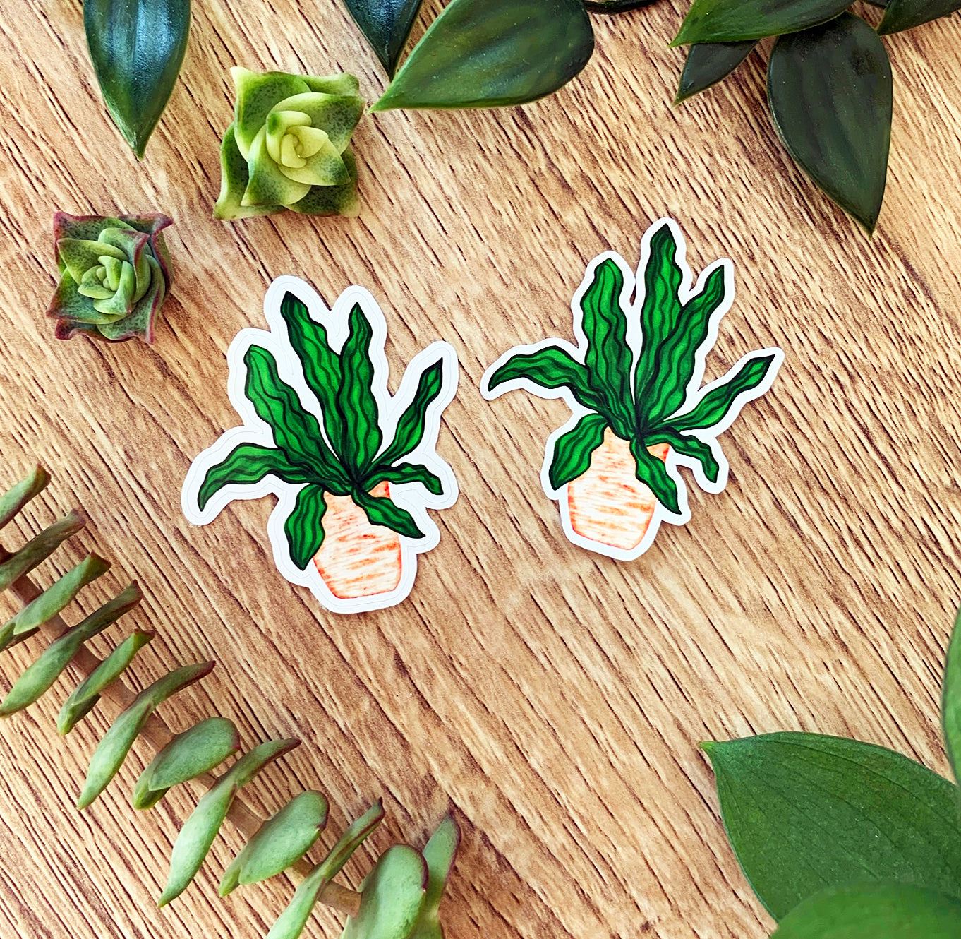 Wavy Leaf plant sticker