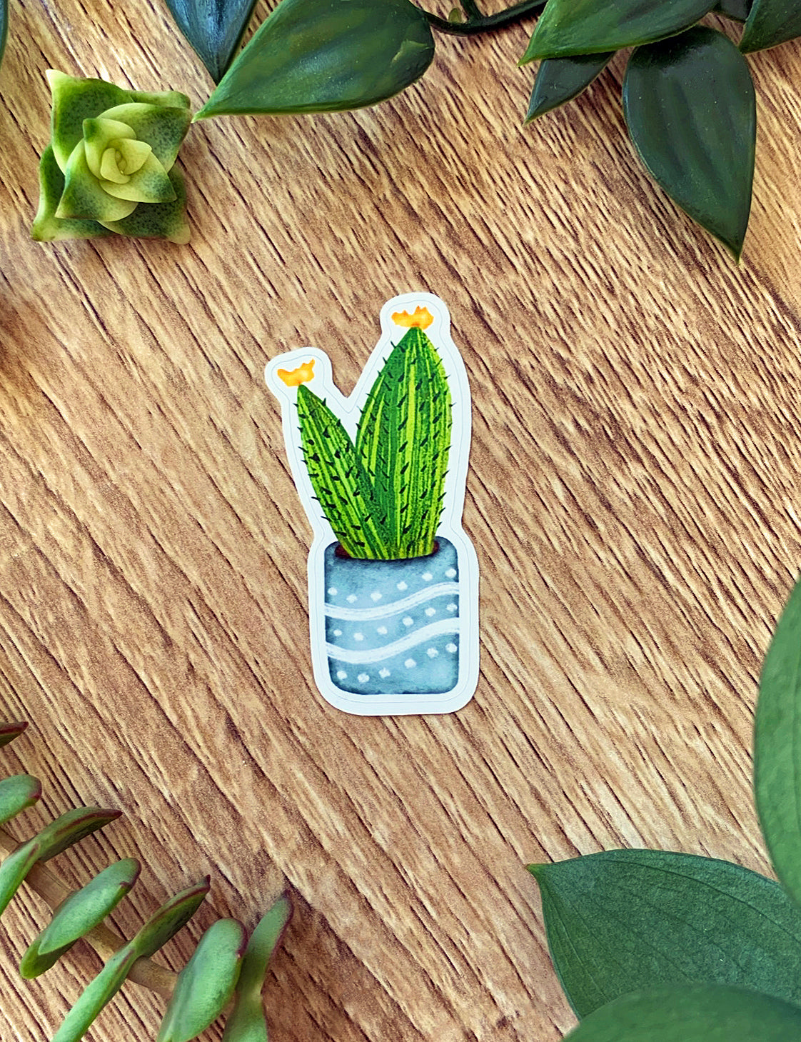 Flower Cactus plant sticker